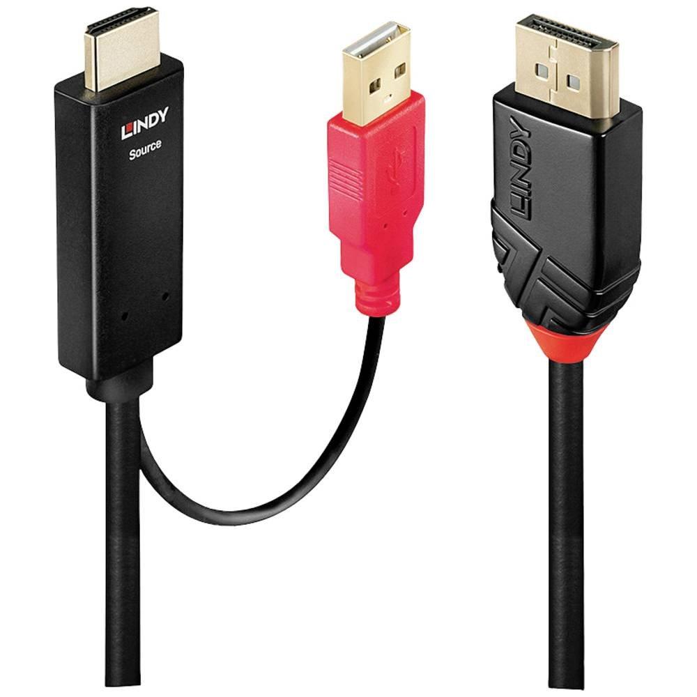 LINDY  Videokabel-Adapter 5 m DisplayPort HDMI + USB 