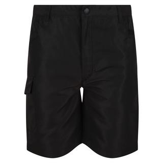 Regatta  Sorcer ii shorts 