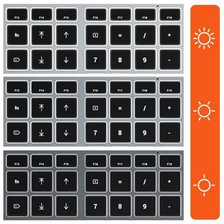 SATECHI  Tastiera USB-C per Mac / iPad Satechi 