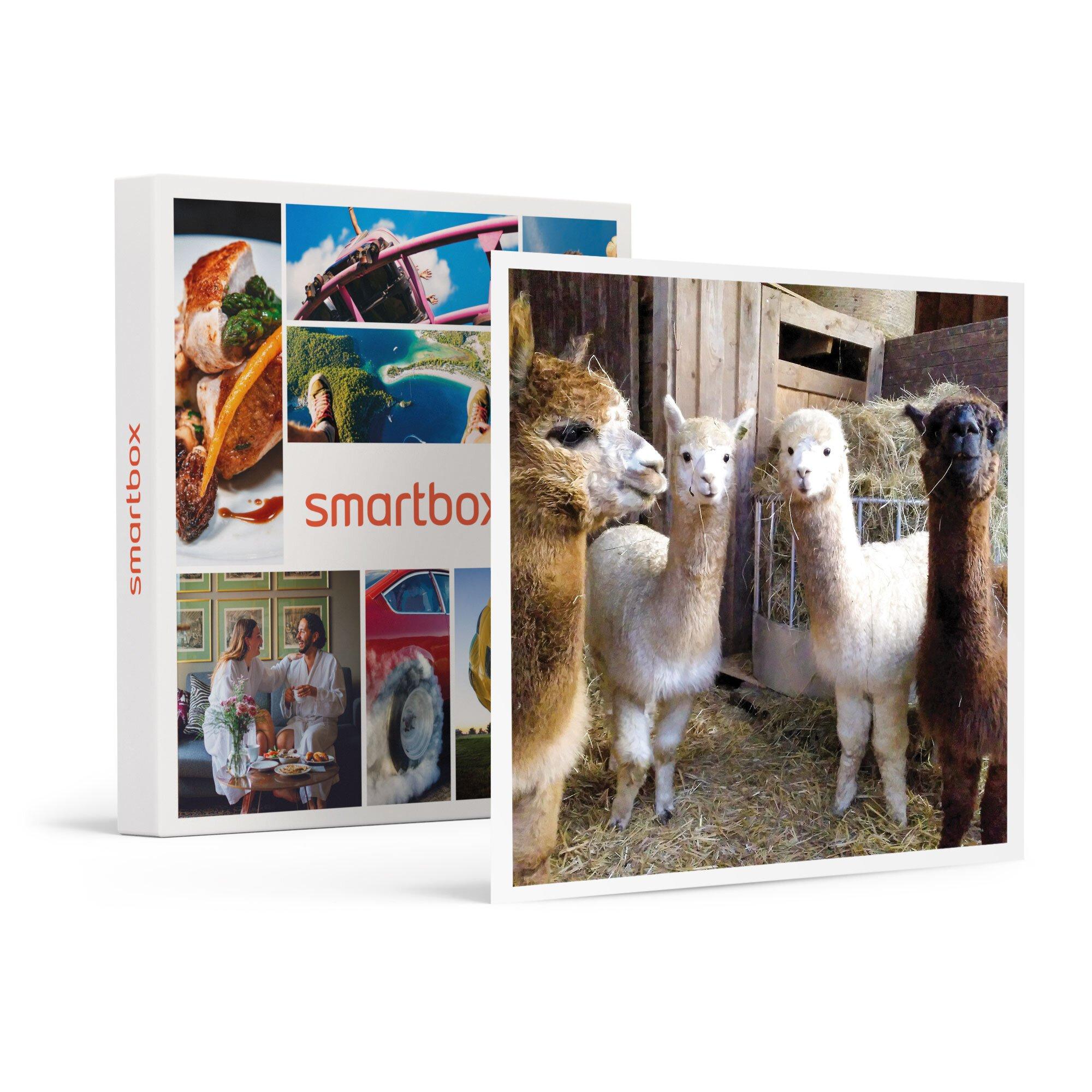 Image of Spannender Familienausflug Zum Erlebnisbauernhof Nahe Stuttgart - Geschenkbox Unisex