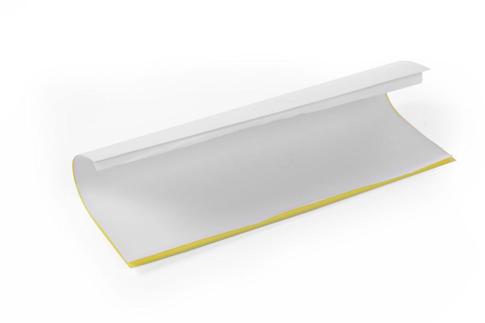 Image of Klebeplatte Insektenvernichter 270080 Klebeplatte Insektenvernichter 270080