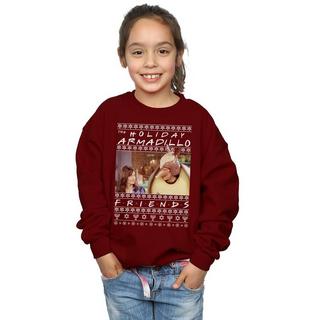 Friends  Holiday Armadillo Sweatshirt 