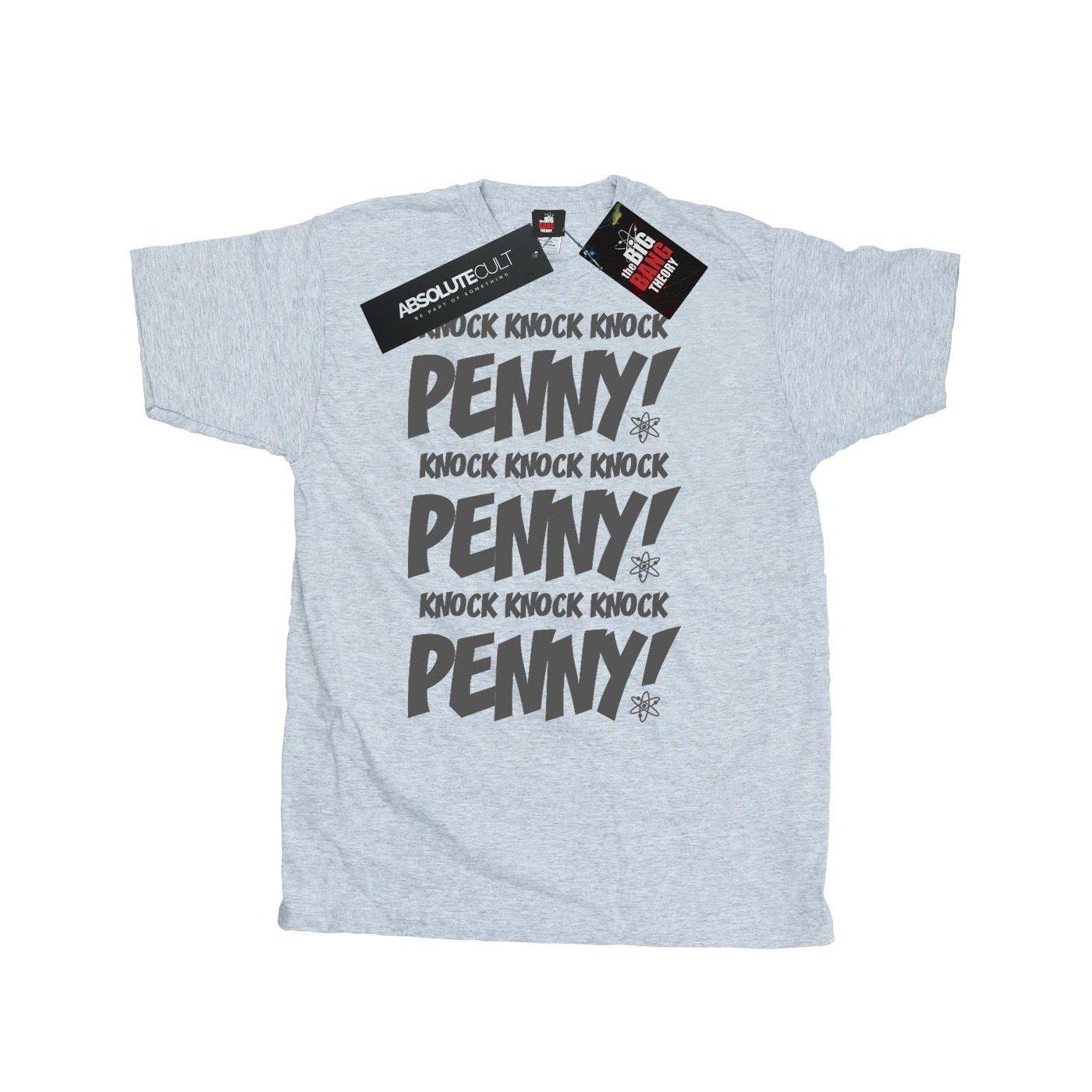 Image of Sheldon Knock Knock Penny Tshirt Herren Grau M