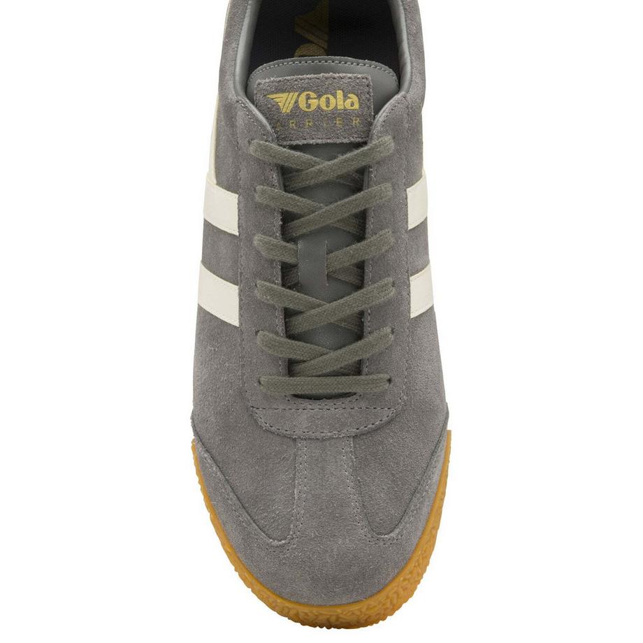 gola Baskets Harrier  