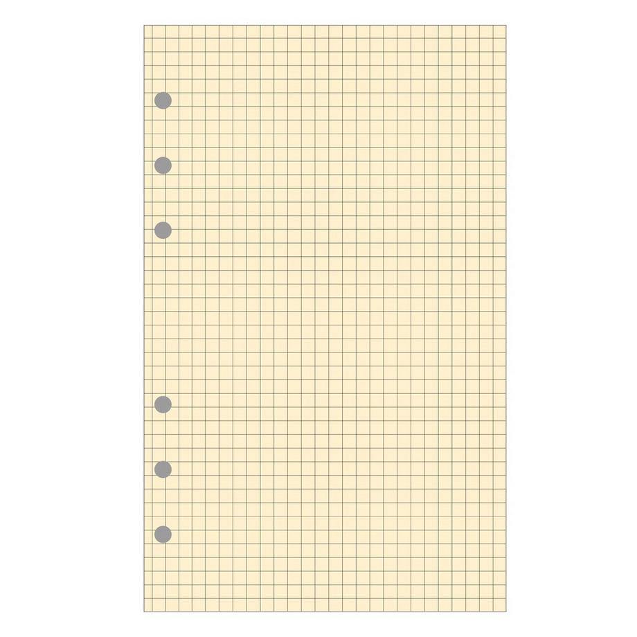 Exacompta Recharge Exatime 17 - Bloc quadrillé chamois - x 5  