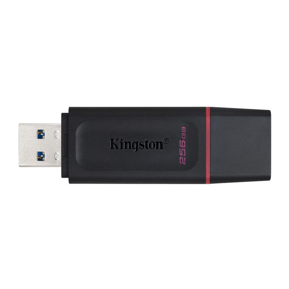 Kingston  Kingston DataTraveler Exodia 256 GB USB 3.2 Flash-Laufwerk 