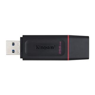 Kingston  Kingston DataTraveler Exodia 256 GB USB 3.2 Flash-Laufwerk 