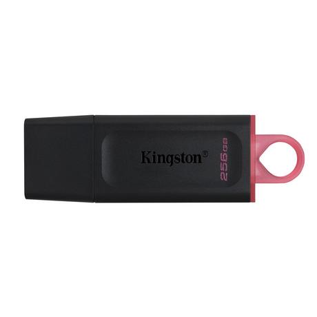 Kingston  Kingston DataTraveler Exodia 256 GB USB 3.2 Flash-Laufwerk 
