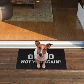 B2X Fußmatte aus Kokosfaser "Oh No ..."  