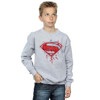 DC COMICS  Sweatshirt 