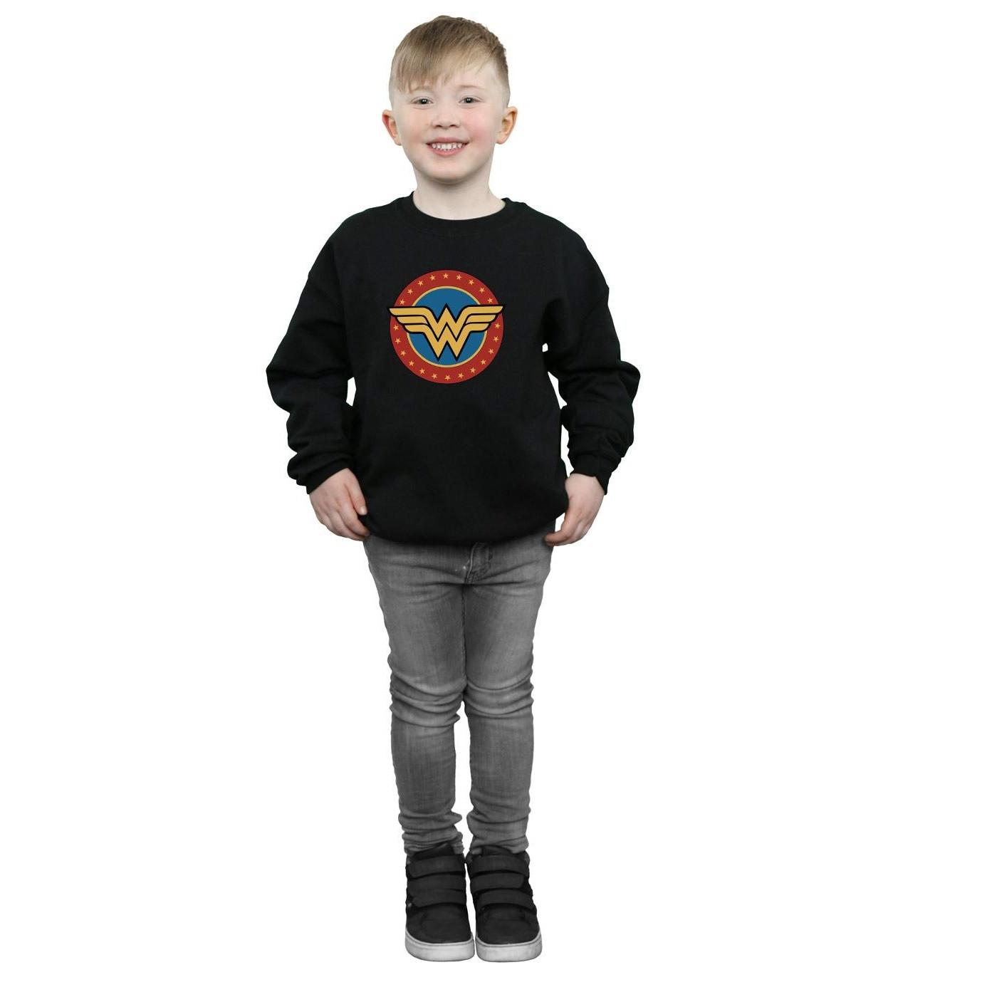 DC COMICS  Sweatshirt 