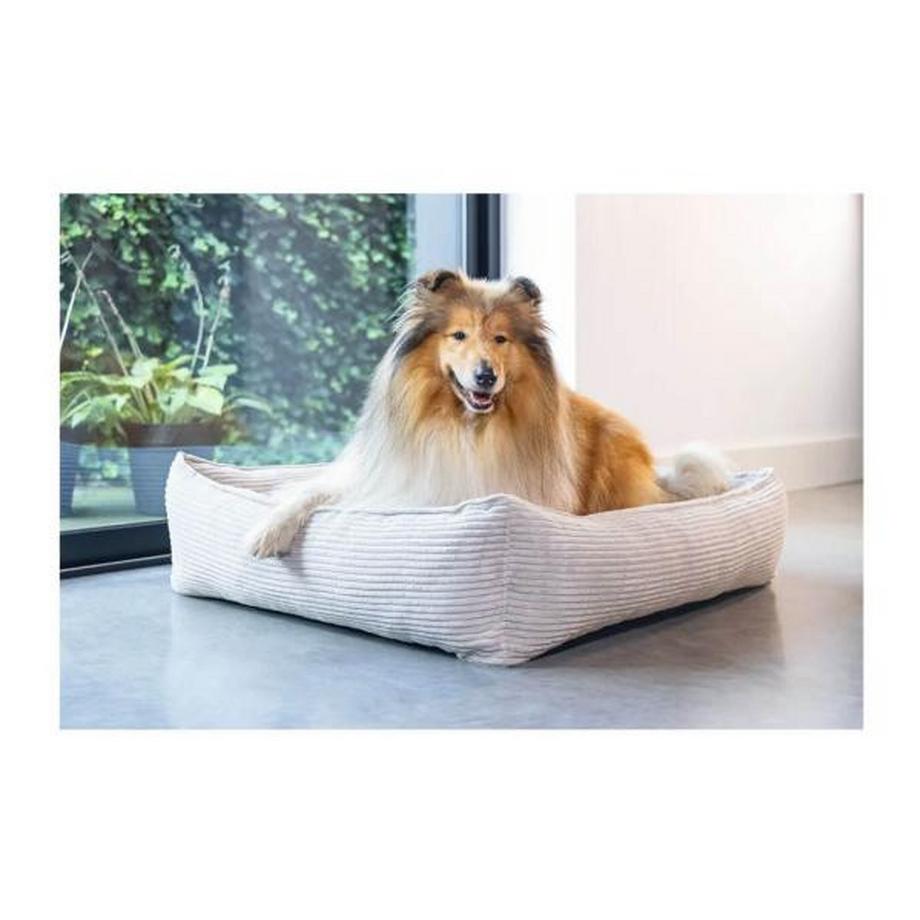 DESIGNED BY LOTTE  Lounger a coste chiaro 