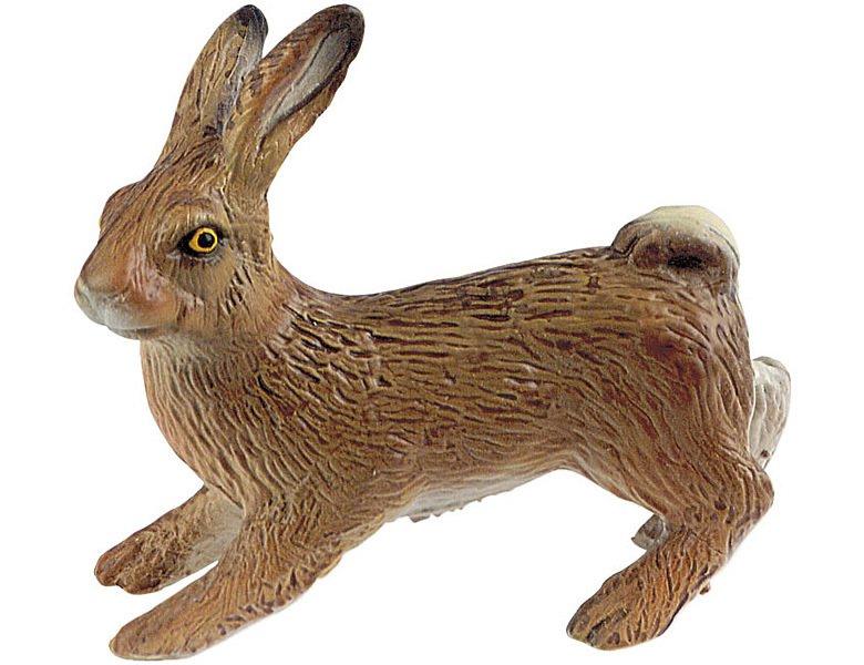 Image of Animal World Feldhase