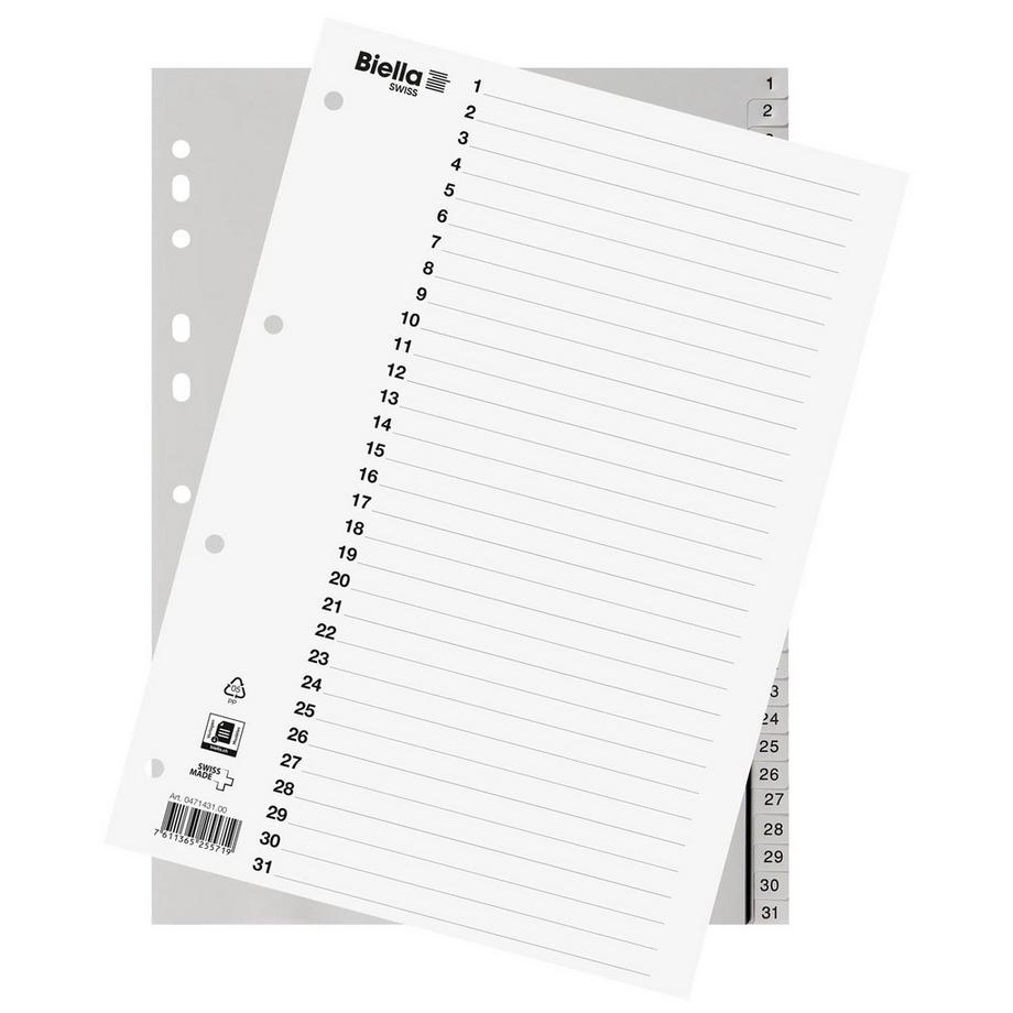 Biella BIELLA Register PP grau A4 471431.00 1-31  
