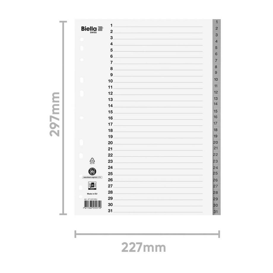 Biella BIELLA Register PP grau A4 471431.00 1-31  
