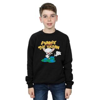 Animaniacs  World Domination Sweatshirt 