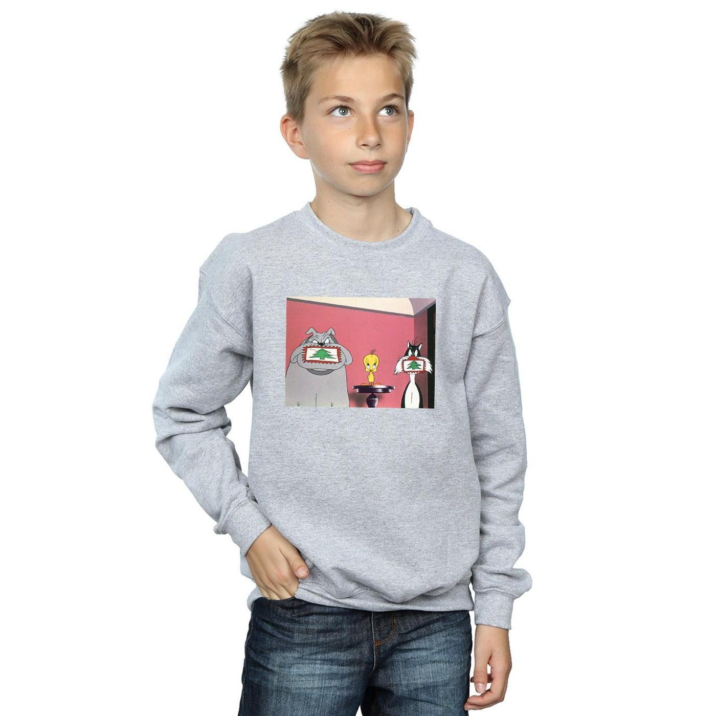 LOONEY TUNES  Sweatshirt 