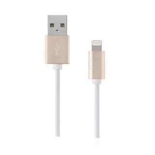 Artwizz  1m USB A/Lightning Oro, Bianco 