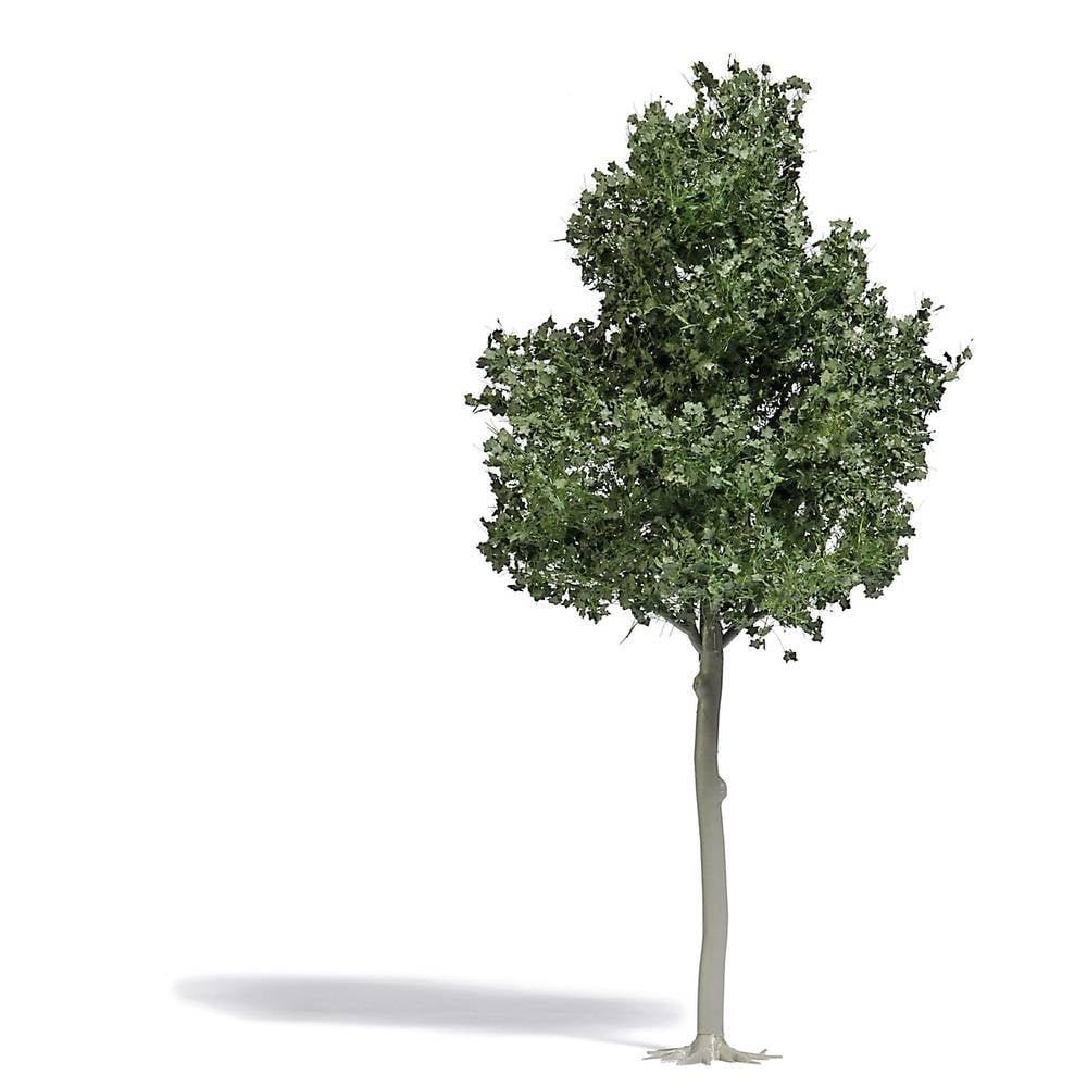 Image of H0 Waldbuche 170 mm Multicolor