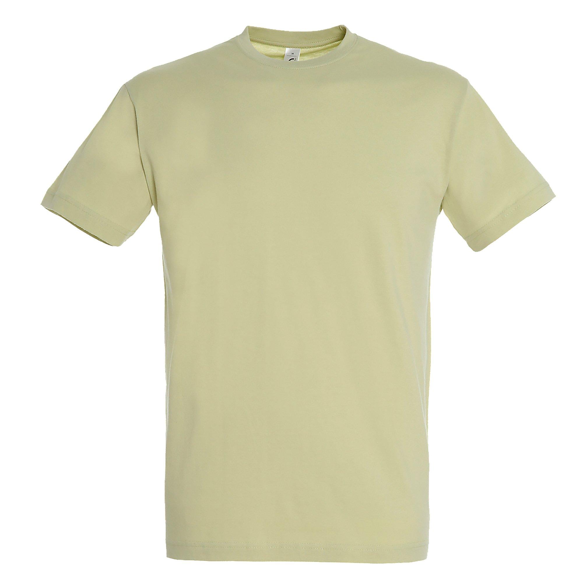 Image of Regent Tshirt, Kurzarm Herren Hellgrün XS