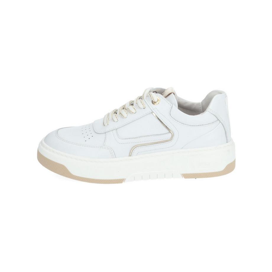 Nero Giardini  Sneaker E409993D 