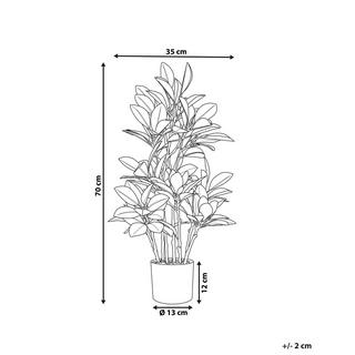 Beliani Pianta artificiale en Materiale sintetico MAGNOLIA  