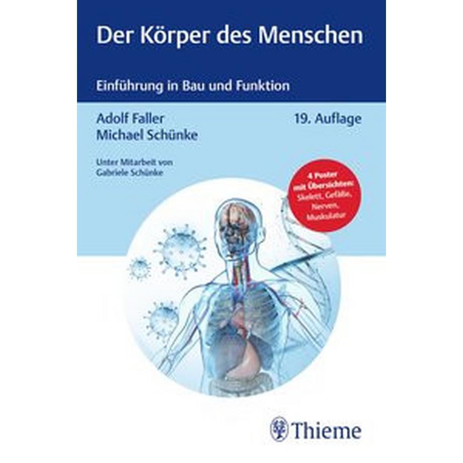 Thieme  Der Körper des Menschen 