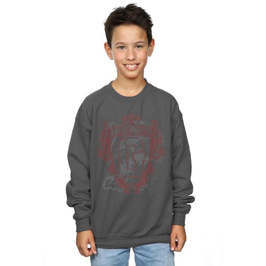 HARRY-POTTER  Gryffindor Sweatshirt 