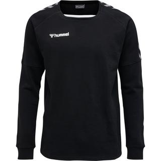 Hummel  pullover huel hlauthentic training 