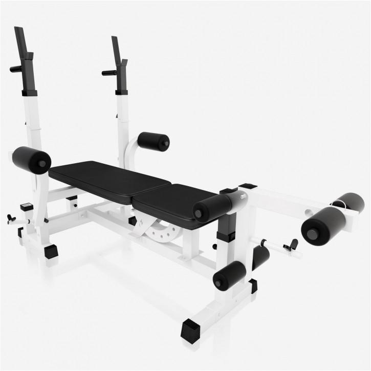 Gorilla Sports  Banc de musculation Universal 