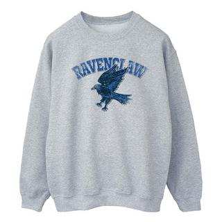 Harry Potter  Sweatshirt 