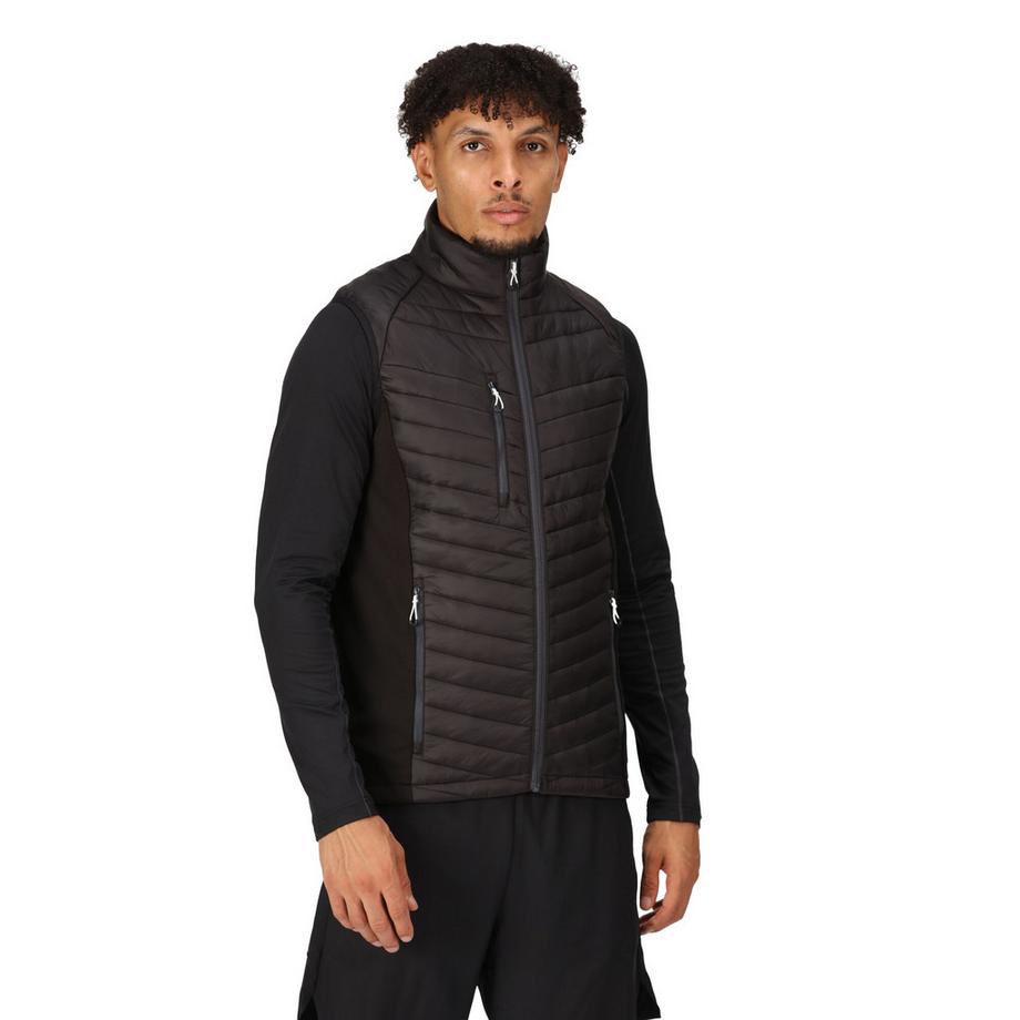 Regatta Gilet ibrido Navigate  