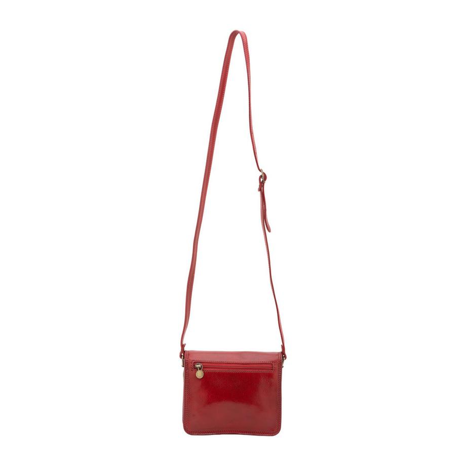 Gave Lux Borsa a tracolla  