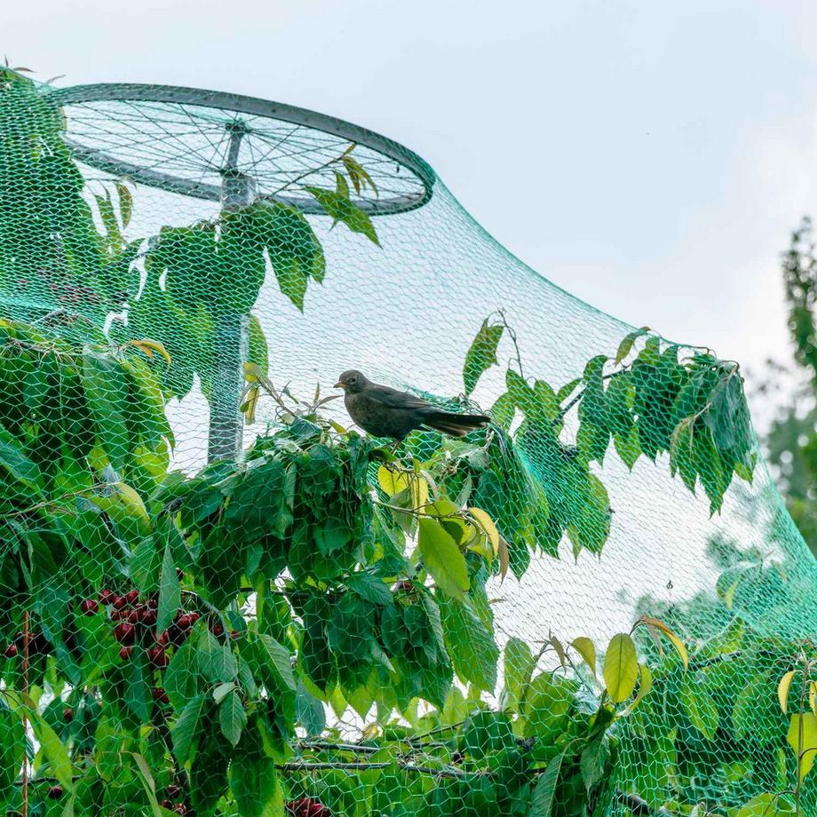 B2X  Dichtmaschiges Vogelnetz 3er Set 