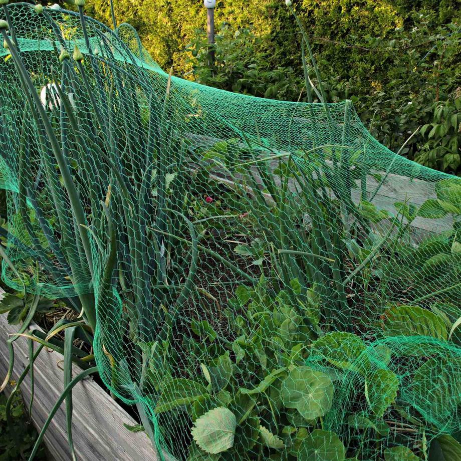 B2X  Dichtmaschiges Vogelnetz 3er Set 