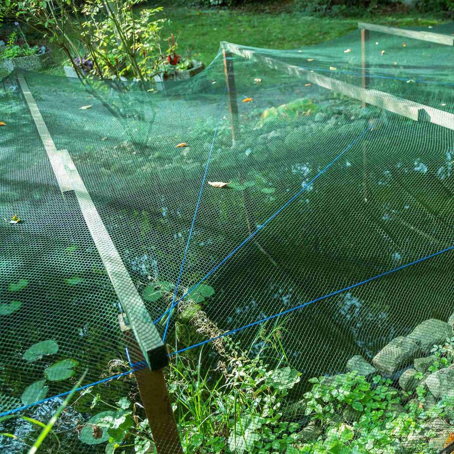 B2X  Dichtmaschiges Vogelnetz 3er Set 