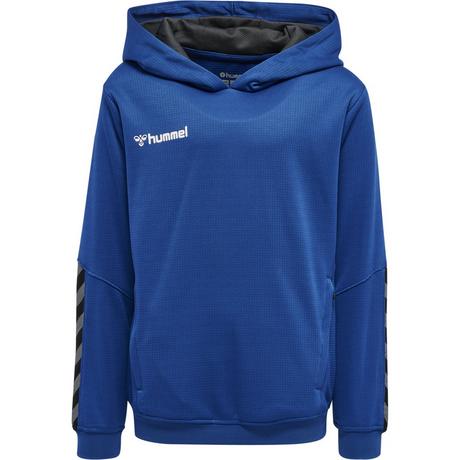 Hummel  sweatshirt à capuche enfant hmlauthentic poly 