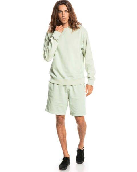 QUIKSILVER  Trip Away Over Sweatshirt Green Milieu 