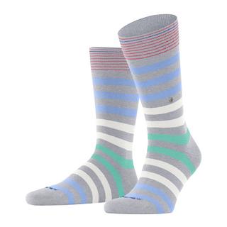 Burlington  socken blackpool 