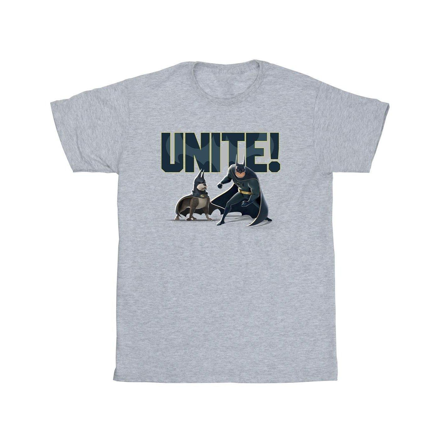 Image of Dc League Of Superpets Unite Pair Tshirt Jungen Grau 128