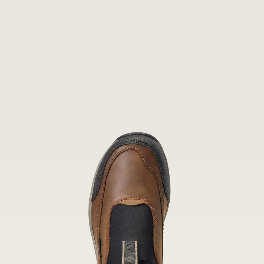 Ariat Terrain Ease H2O Bottines Imperméables  