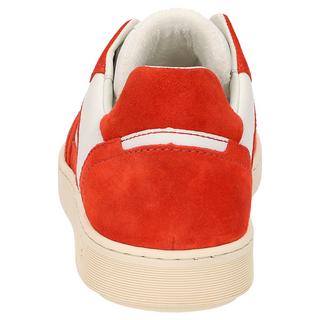 Sioux  Sneaker Tedroso-704 