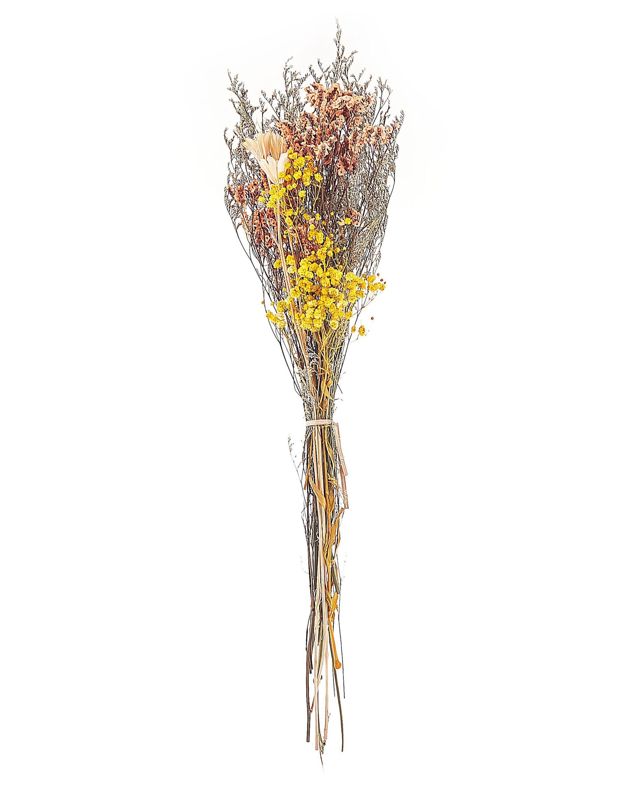 Image of Trockenblumenstrauss Aus Trockenblumen Boho Cartaya Unisex Nude ONE SIZE