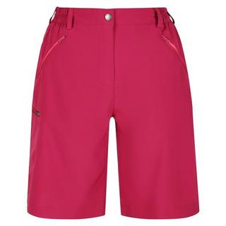 Regatta  Xert Shorts 