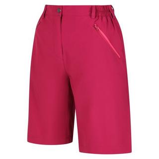 Regatta  Xert Shorts 