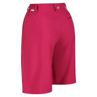 Regatta  Xert Shorts 