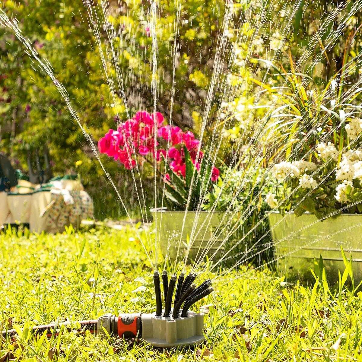 InnovaGoods Germes d'eau pour le jardin - 360º  