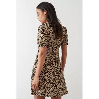 Dorothy Perkins  Minikleid  kurzärmlig 