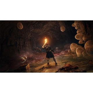 BANDAI NAMCO  Elden Ring (Code in a Box) 