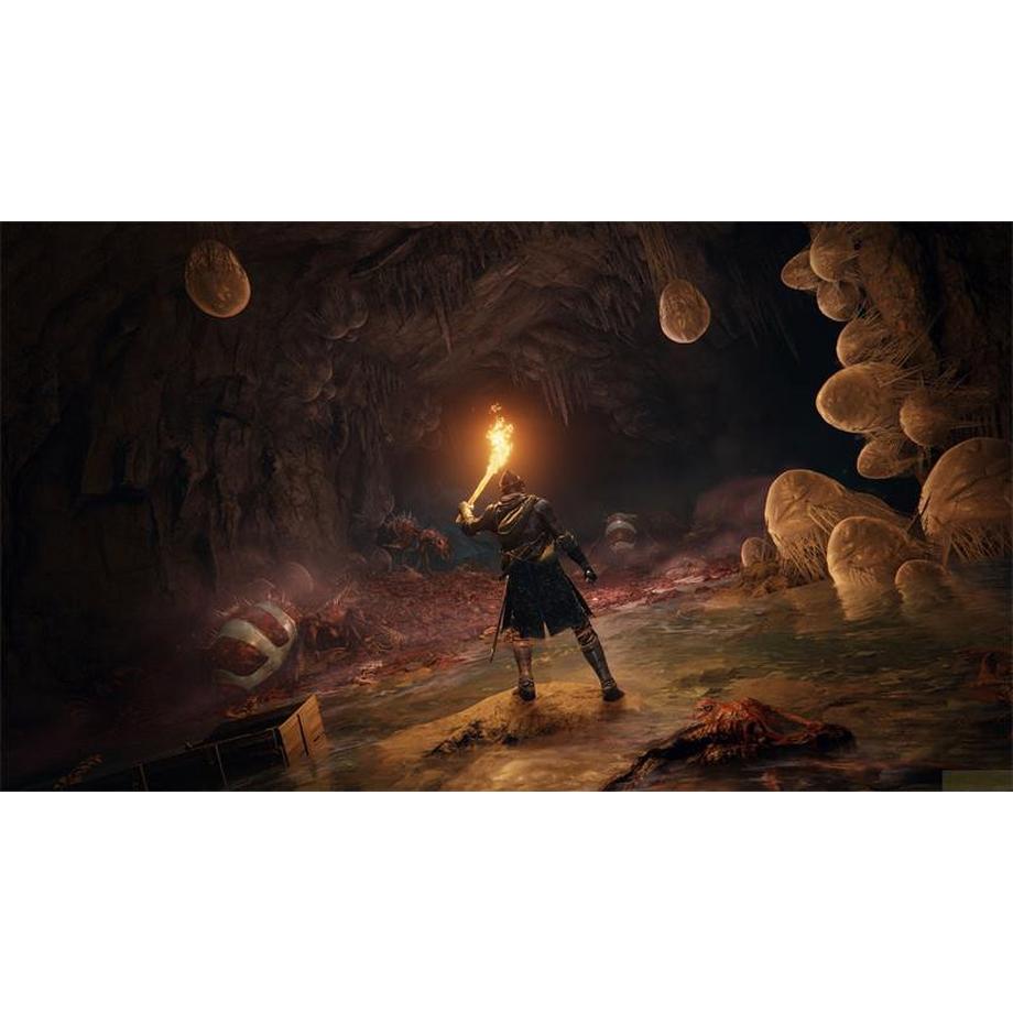 BANDAI NAMCO  Elden Ring (Code in a Box) 